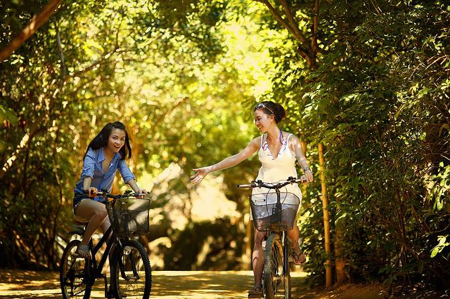 éco-tourisme en vélo à Lille